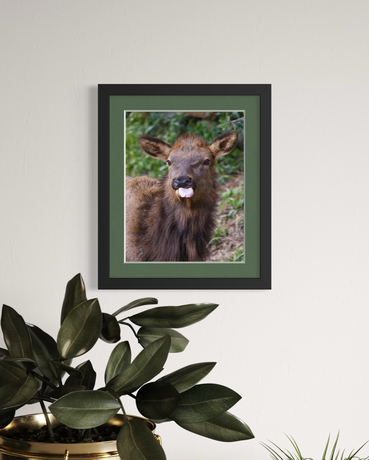 "Tongue Out" 11x14 Matted Print