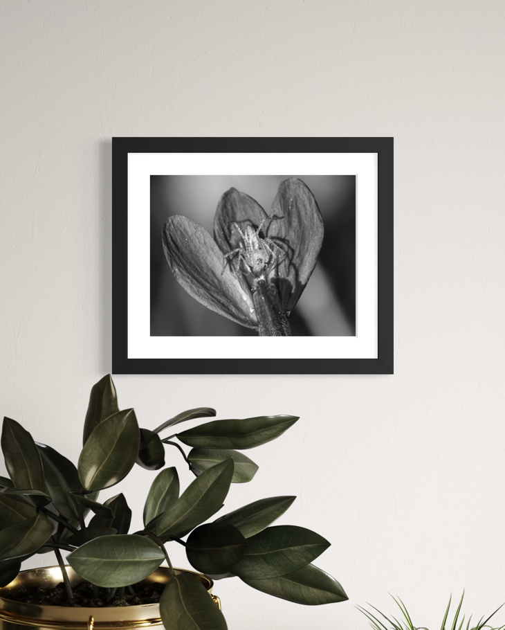 "Wait'n For Dinner" 11x14 Matted Print