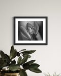 "Wait'n For Dinner" 11x14 Matted Print