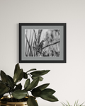"Gila" 11x14 Matted Print